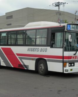 1986 Hino blue ribbon bus E200 service repair manual