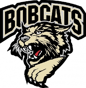 Bobcat