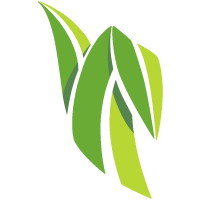 Lawn