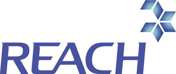 Reach Stacker